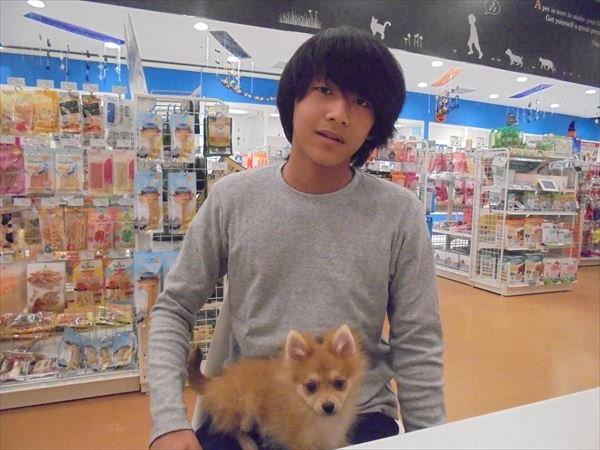 写真