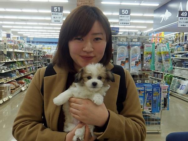 写真