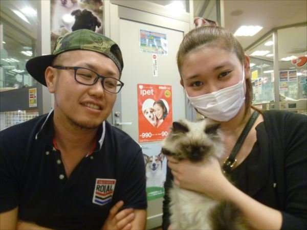 写真