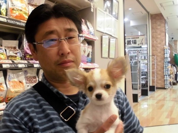 写真