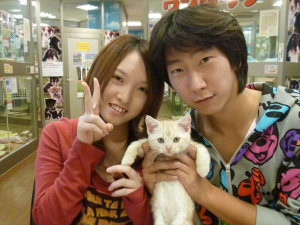 写真