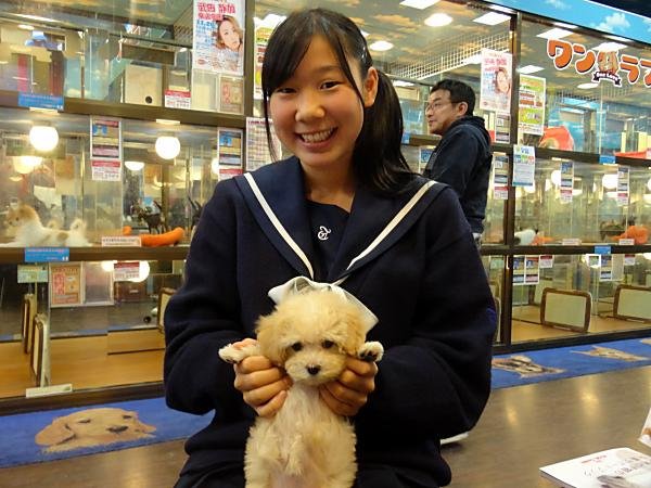 写真