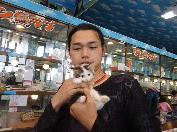 写真