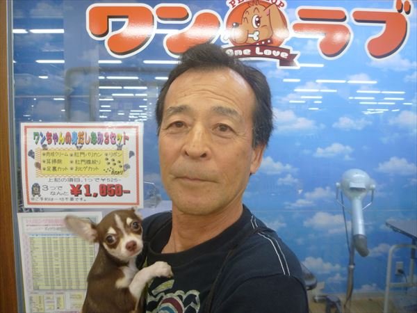 写真