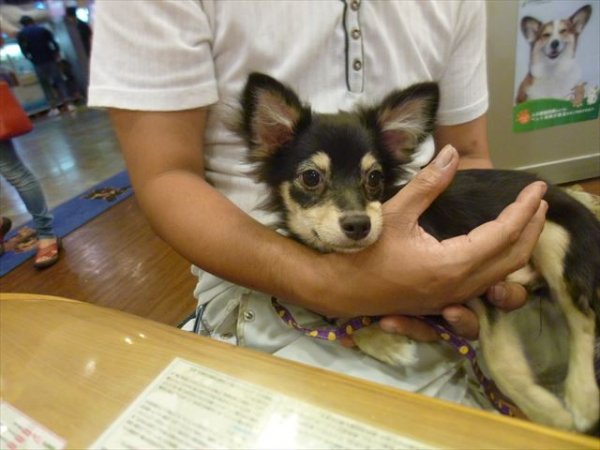写真