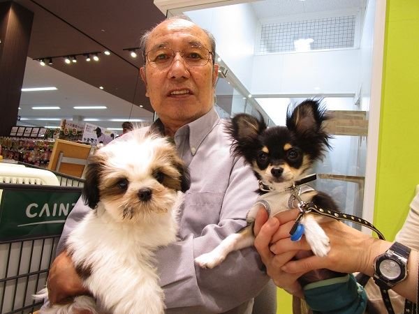 写真