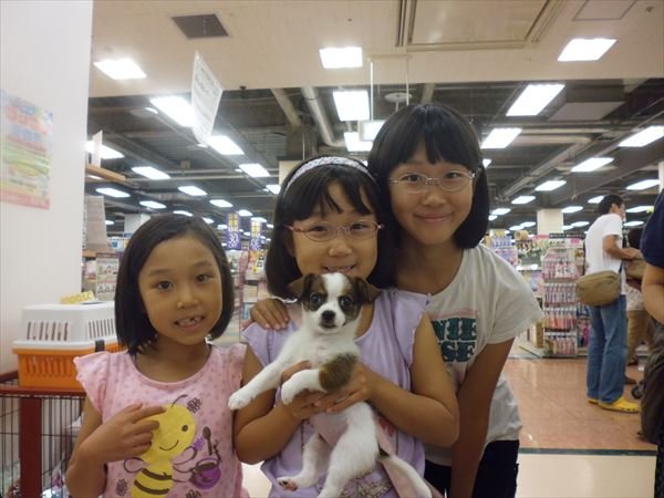 写真