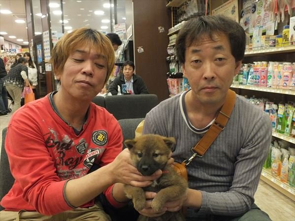 写真