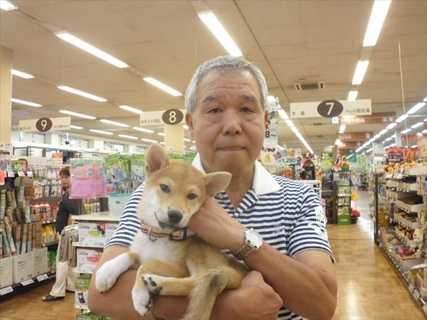 写真