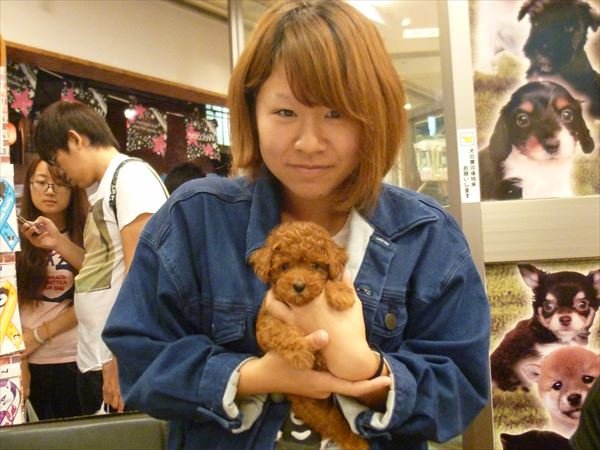 写真