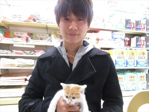 写真