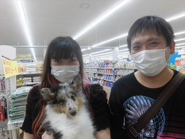 写真