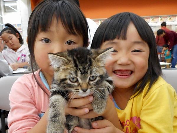 写真