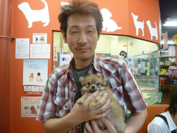 写真