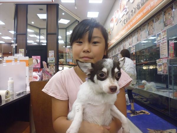 写真
