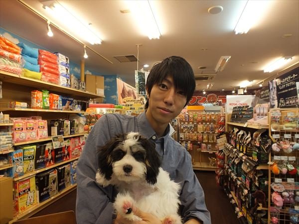 写真