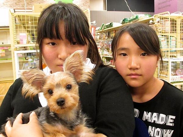 写真