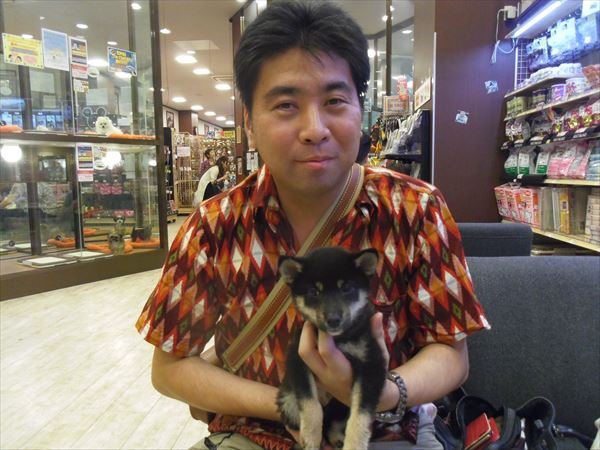写真