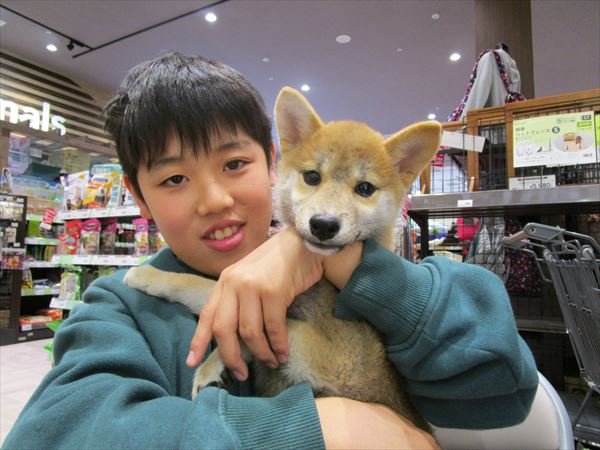 写真