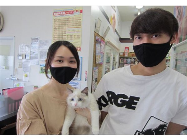 写真