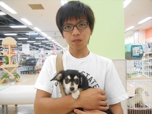 写真
