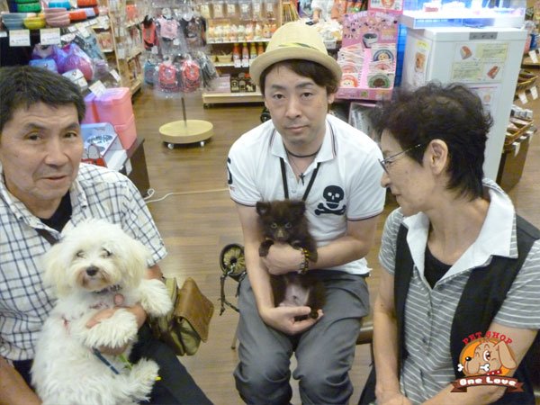 写真