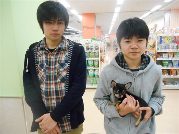 写真