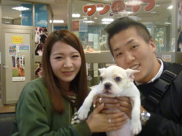 写真