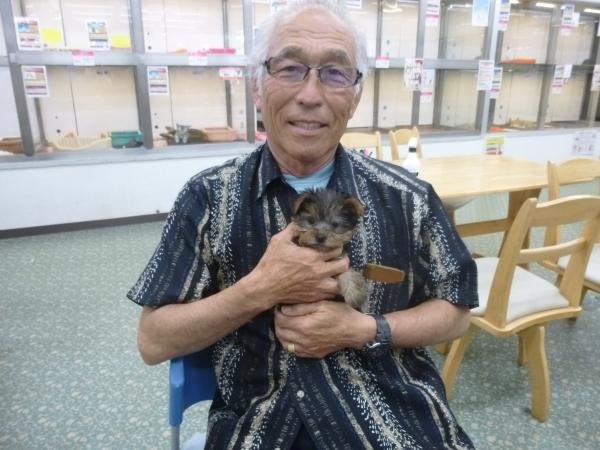 写真