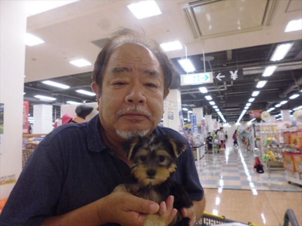 写真