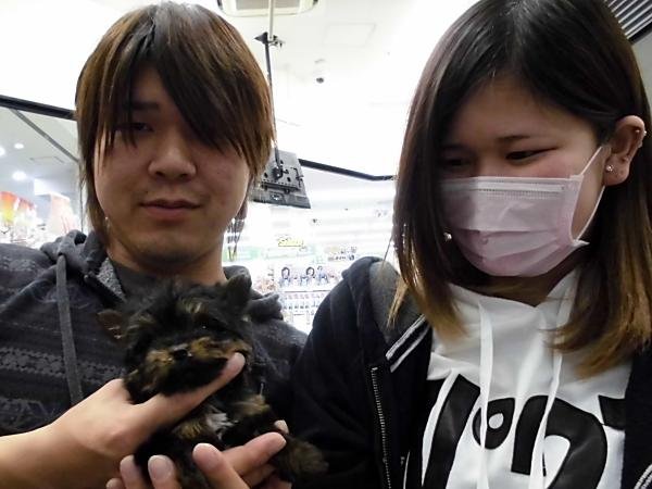 写真