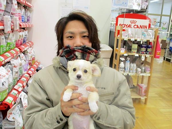 写真