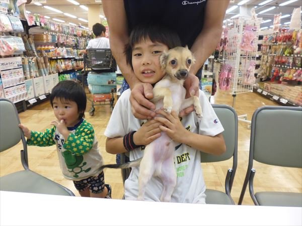 写真