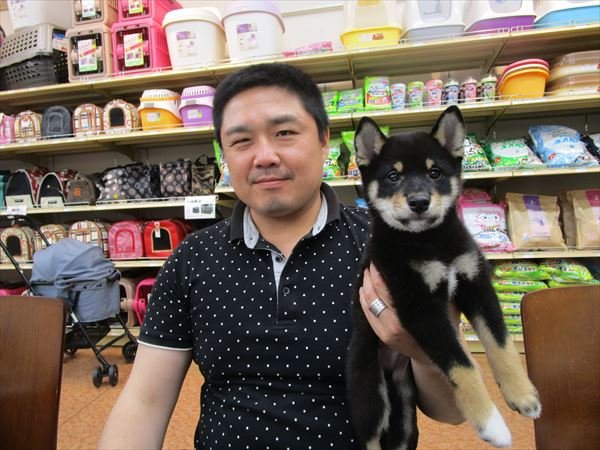 写真