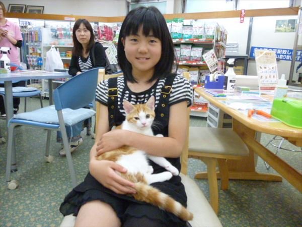 写真