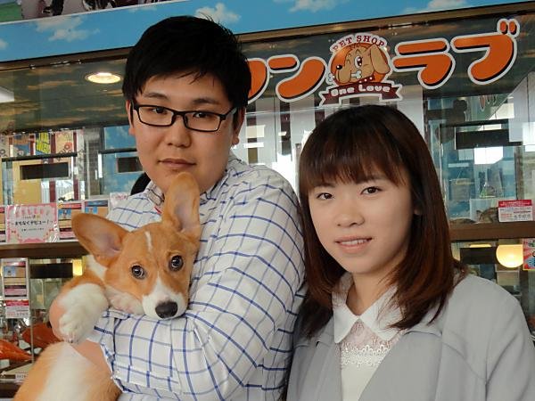 写真