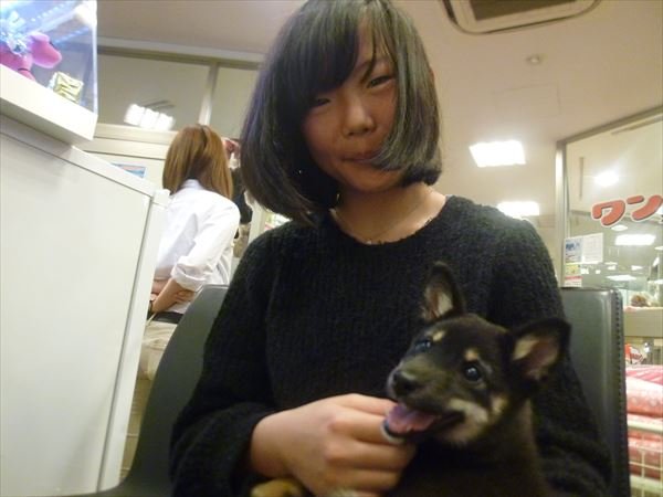 写真