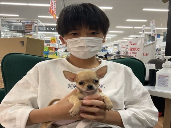 写真
