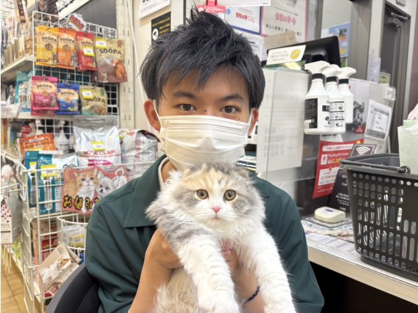 写真