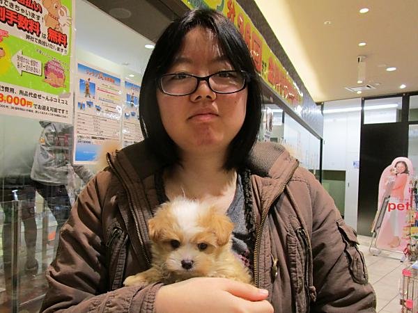 写真