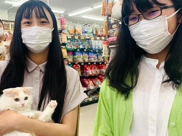 写真