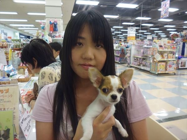 写真