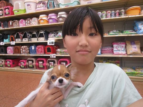 写真