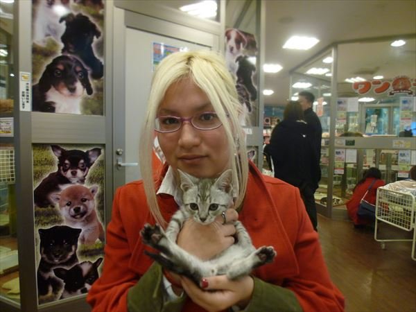 写真
