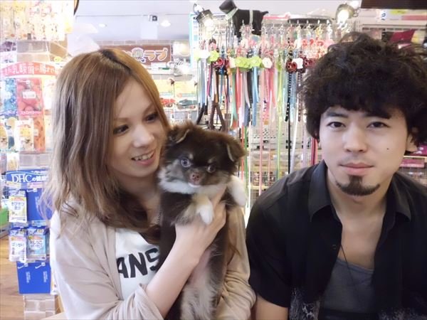 写真