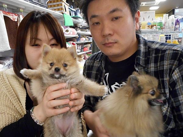 写真