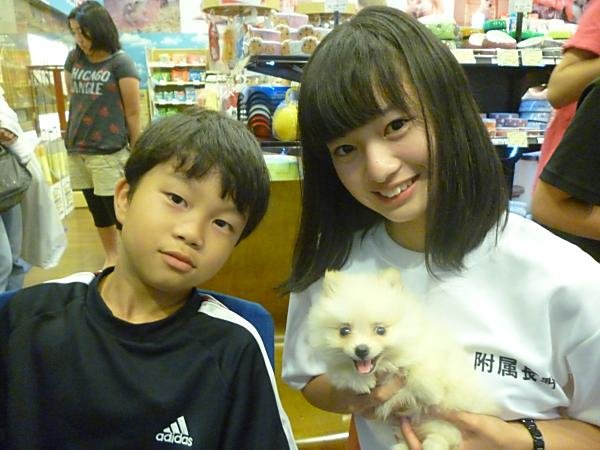 写真