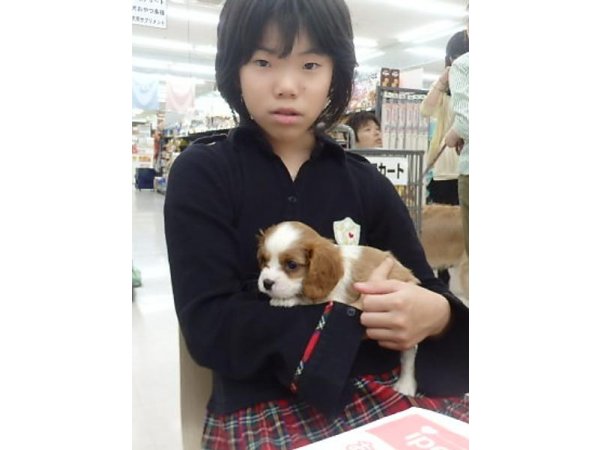 写真