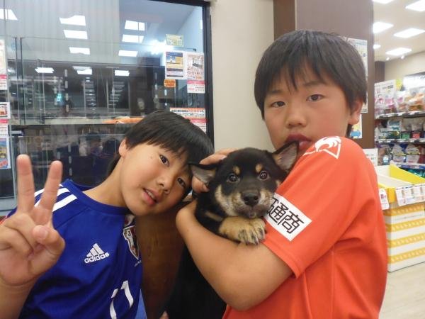 写真