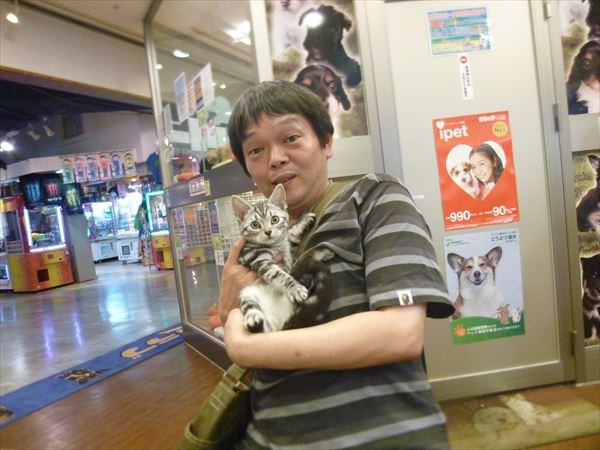 写真